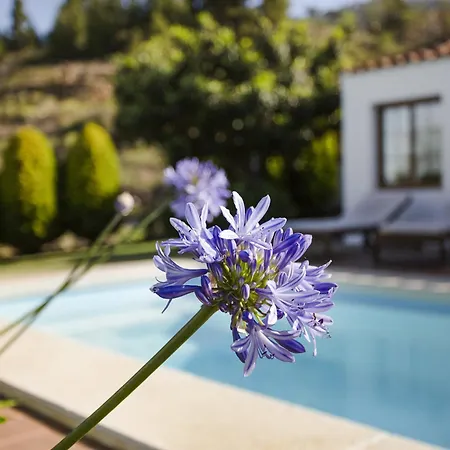El Lomito Tatil Evi Tijarafe